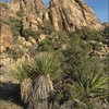 Crags near the summit.<br>
Photo by Blitzo.