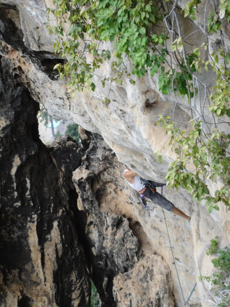 Greg Collum starting out the steep roof on the crux 3rd pitch