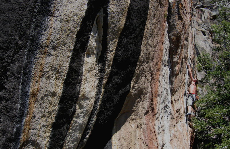 Dean sticking the crux throw on Holy Roller 5.12, Higher Solitude.