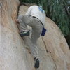 Kenn Kenaga on the Pepper Tree Crack.