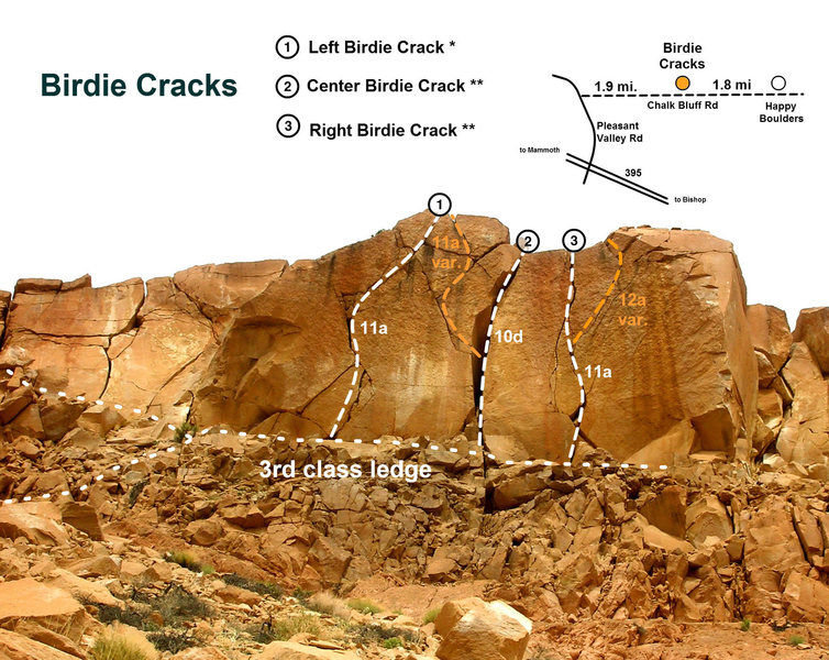 Birdie Cracks