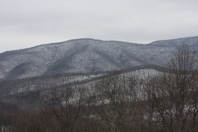 fresh snow near Calf Mtn.