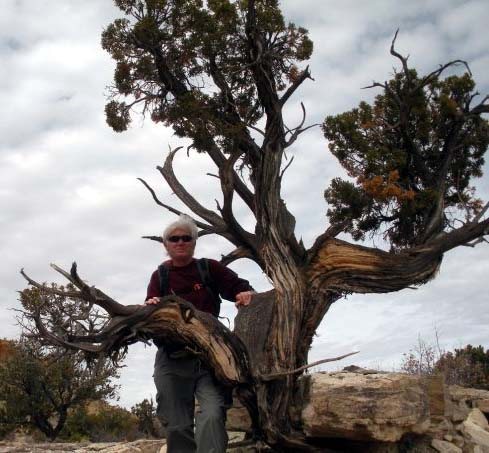 Hanging with the tree