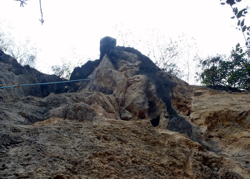 Up on the Prowl.  White Mountain Yangshuo China