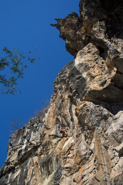 Looking up the nose of the Crazy Horse