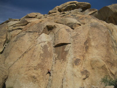 Unsuspecting Steph, about to climb into the jaws of a giant camouflaged bird-monster...