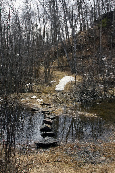 rock bridge