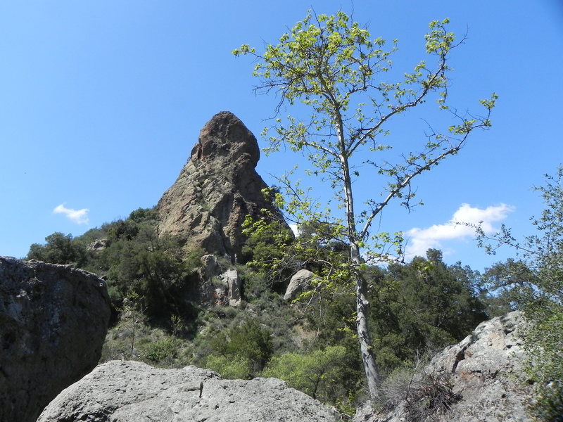 Lake Malibou Tower.