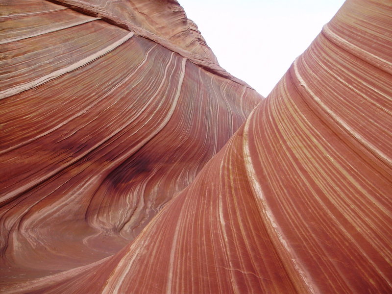 "The Wave," Arizona