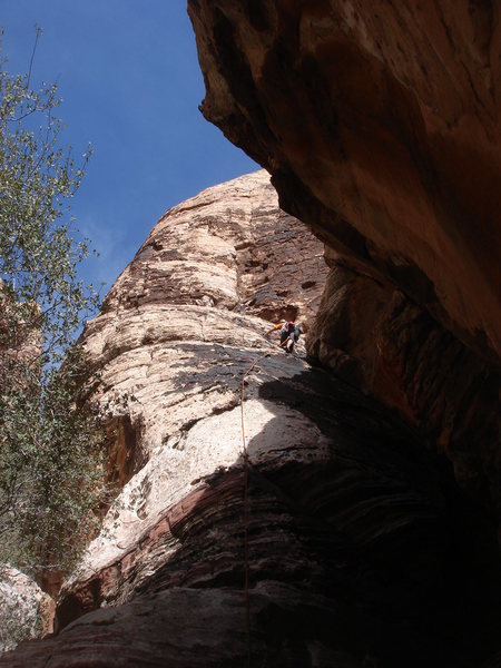 Ross leading pitch 1.