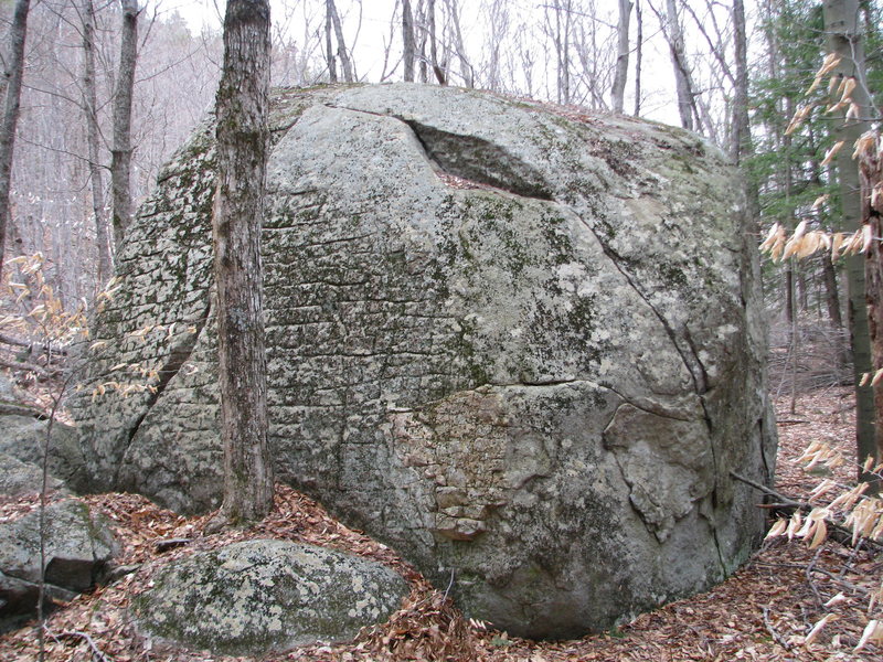 The Armadillo viewed from the SE, showing the easy slab and crack side. It was largely cleaned years ago, but has grown back a new green suit.