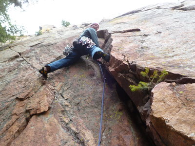 Stemming avoids some of the wide down low.