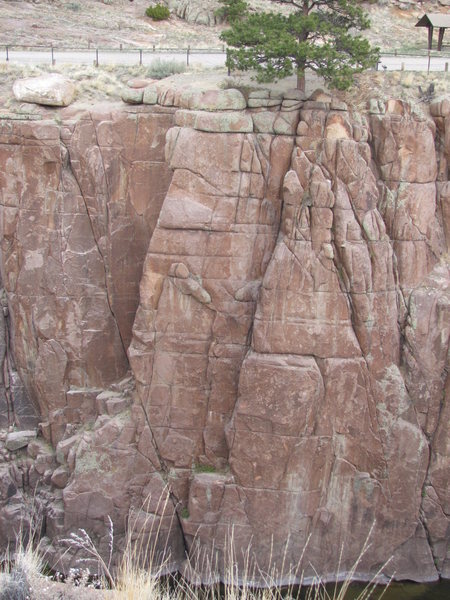 The route follows the prominent dihedral and crack system directly below the big pine tree.