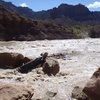 Rapid in Desolation Canyon