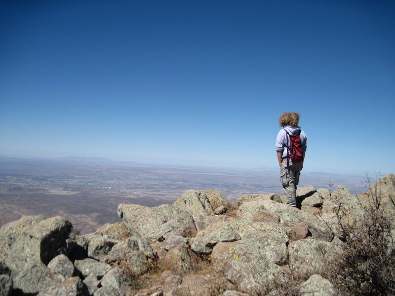 Lookout from the Top