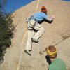 Topping out the Eppulator