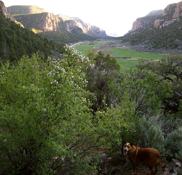 Near the base of "Rites of Passage," Quarry Wall.