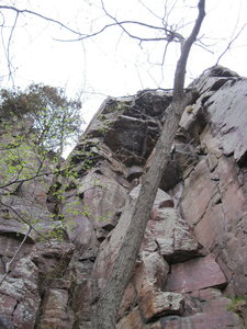 Horticulture climbs right at the roof, Roofus climbs left.