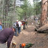 Volunteers learn trail building techniques.