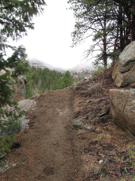 New trail tread, with The Dome in the distance.