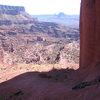 view from the base of the kingfisher