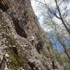 Doug Stout starting up the new route on the right side of the wall.