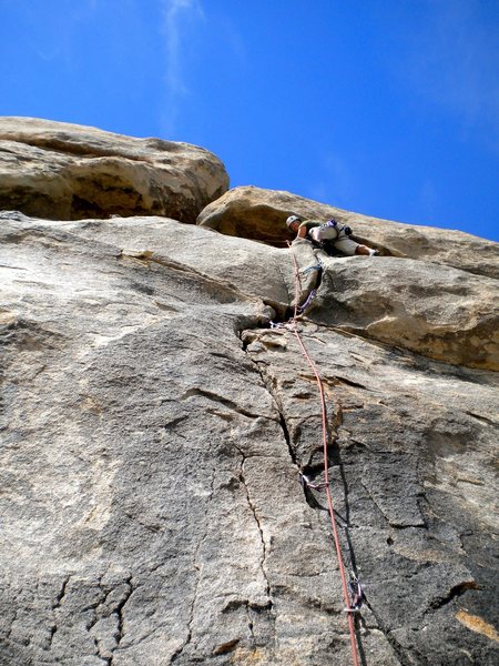 Shannon leading Nutcracker.
