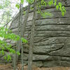 Moss Face in the Amphitheater Area at Rines Hill.