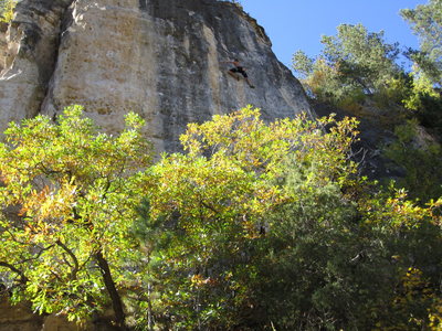 Me on the traverse 3 bolts of "last", then climb right. thanks coin for shooting this! 