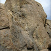 Zoo Wall Right.<br>
Photo bt Blitzo.