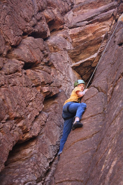 Colton's son Stephen up high on Anne