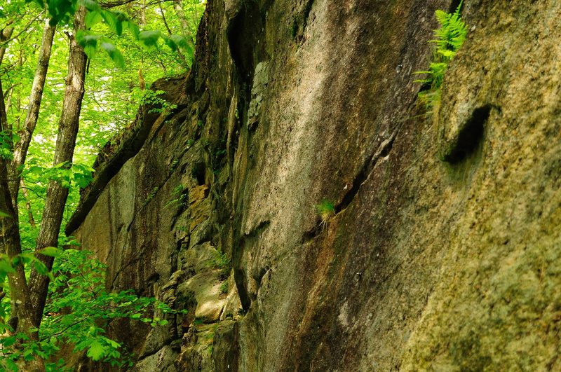 climbers left side of the cliff. "Bo jangles" 5.6 is the dike feature on this crag.