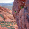 Nate Erickson on Glitter Gulch. 5/29/11.