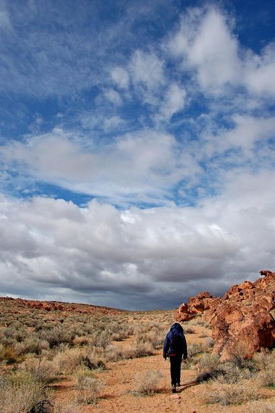 Boulder hunting in the Tablelands