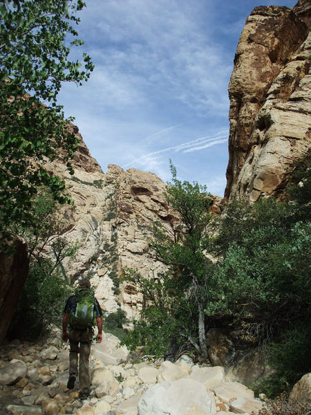 hiking out