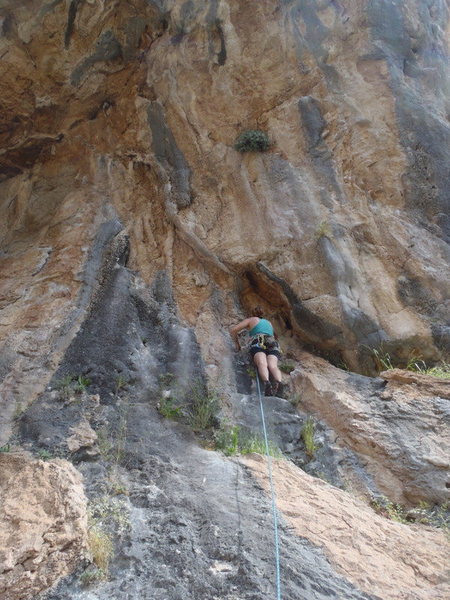 Die another day.  Olympos Turkey