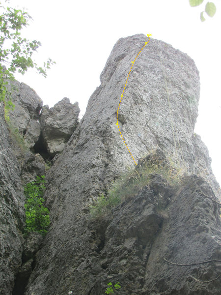 Here you can see the line of bolts to the top. The other photo of the bottom has no visible bolts in it.