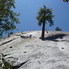 Climbers on the second pitch.