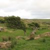 Trees in fields at the top of the cliff.  This place is windy!  (photo by Phil Ashton)