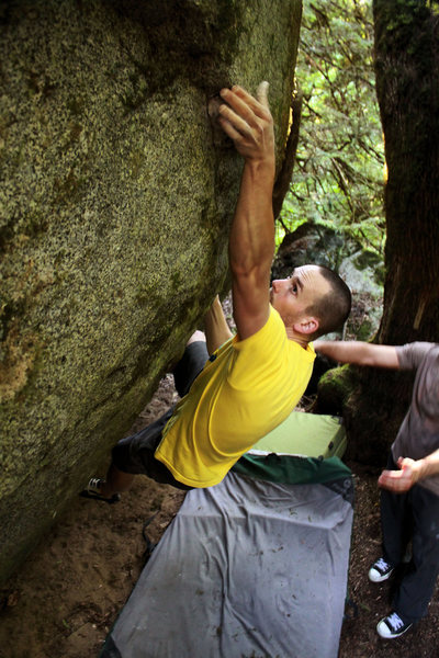 trevor on snake eyes -V7