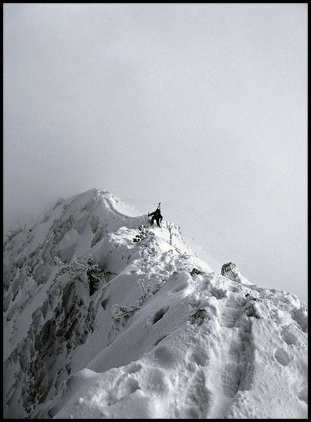 Mount Superior, Wasatch Range