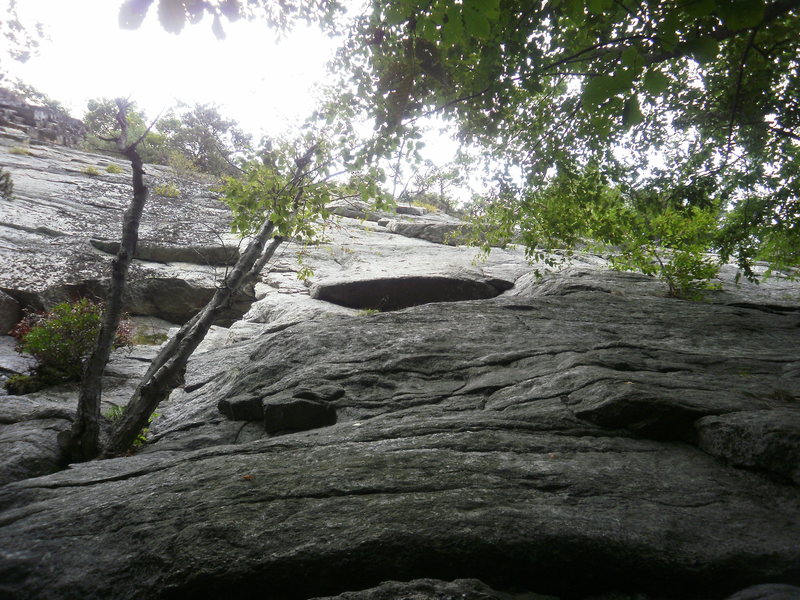 Looking up from the ground.  Start on left by those trees and head to the right side of the little overhang.