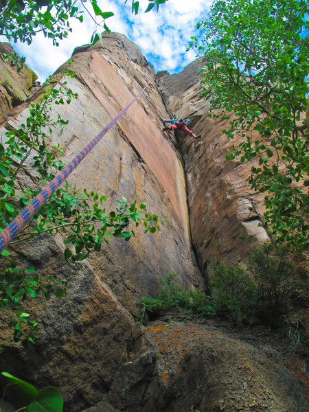 Maura, TR lap, Gooseberry Corner.