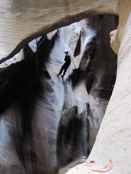 Deep in Pine Creek Canyon