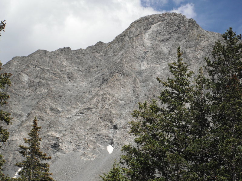 NW Face of Little Bear from Lake Como.  Black Hand can be seen just to the right and lower than the top of the tree in the left of the picture.  We started approx. 150 ft to climber's right of the Black Hand and then trended left to gain easier ground until the final 400 ft headwall which was quite stiff. A few sequences were low class 5, but we didn't rope up.  