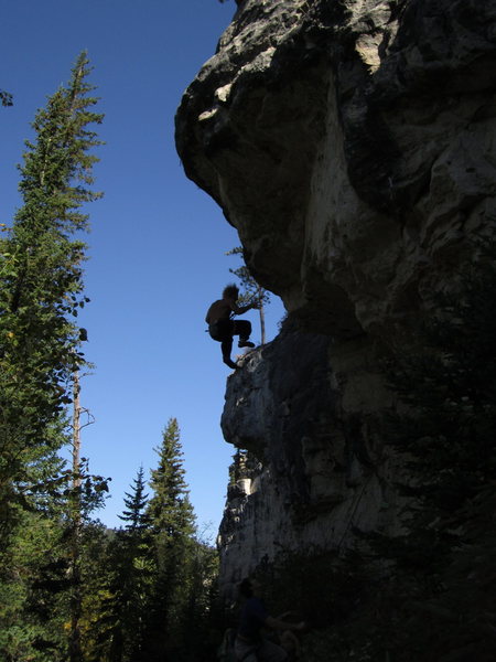 (Sha)* (doh)* (laands). An early morning shesh of moss toss, I think. JC falling, but he sentedid.