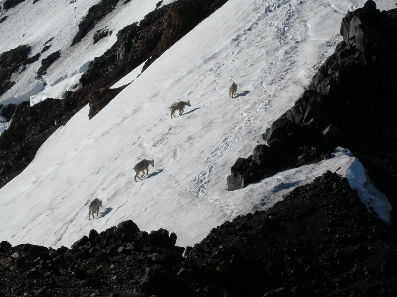 Four expert climbers on the North Ridge.