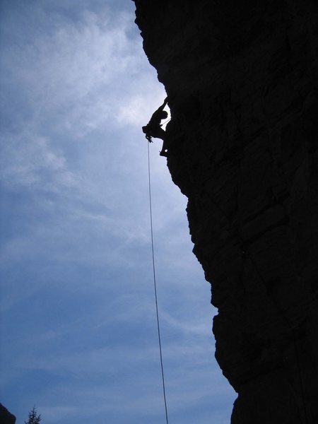 Scotty on pitch 1 during the FA.