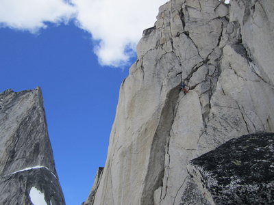 Party on Paddle Flake Direct