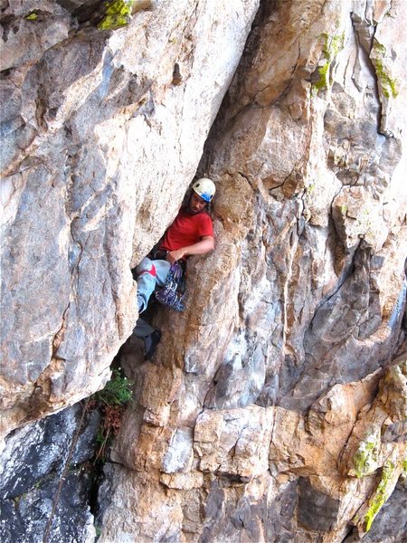 Catalonian Crusher reaching for the fat cam.  